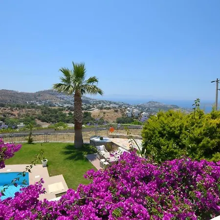 Olivia Private Pool فيلة